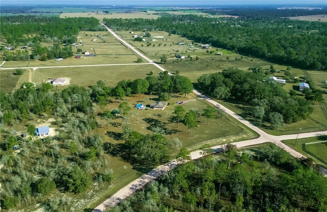 6850 SE 143rd Ct, Morriston, FL 32668 - photo 60