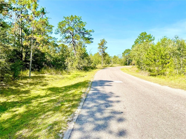 0 Guava Pass, Ocklawaha FL, 32179 land for sale