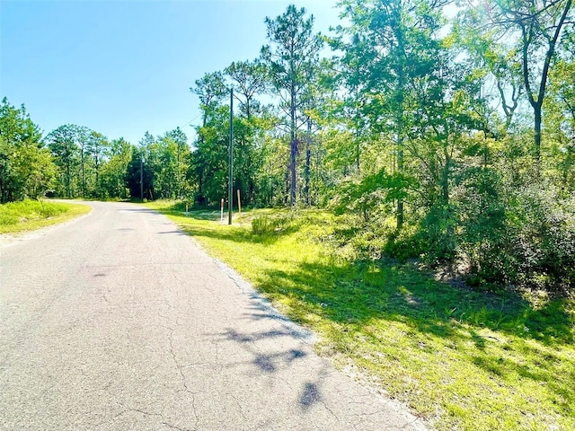 Listing photo 3 for 0 Guava Pass, Ocklawaha FL 32179