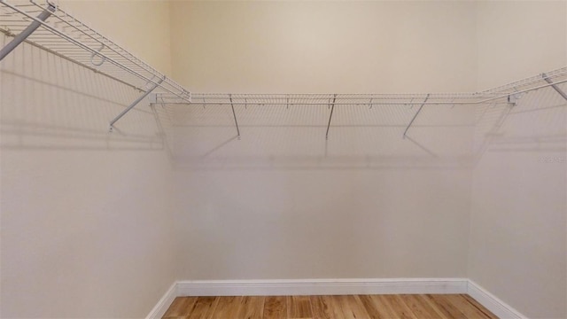 spacious closet featuring hardwood / wood-style flooring