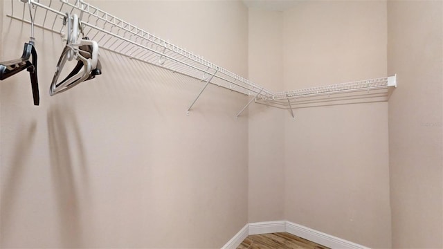 walk in closet with wood-type flooring