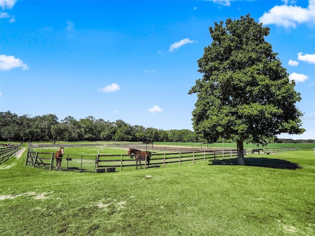 view of yard with a rural view and fence