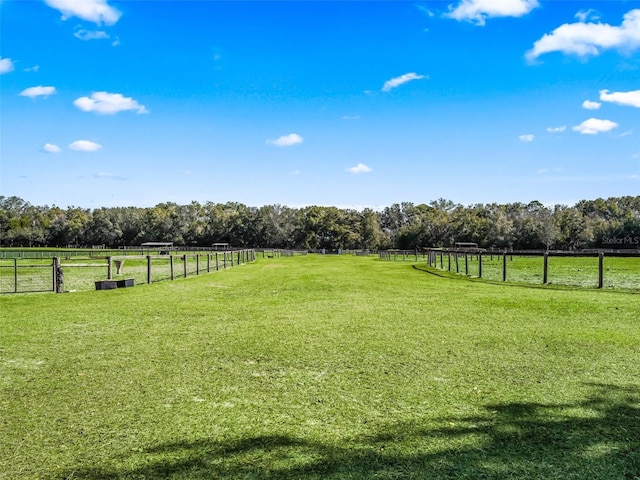 view of yard featuring a rural view