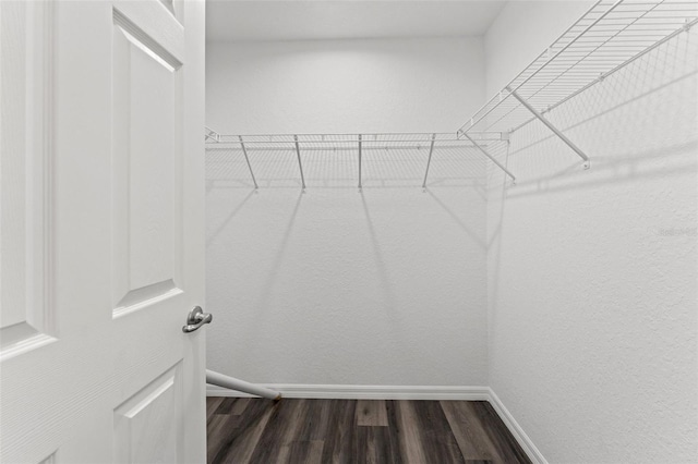 walk in closet with hardwood / wood-style flooring