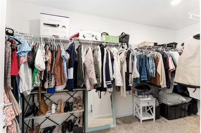 spacious closet featuring carpet floors