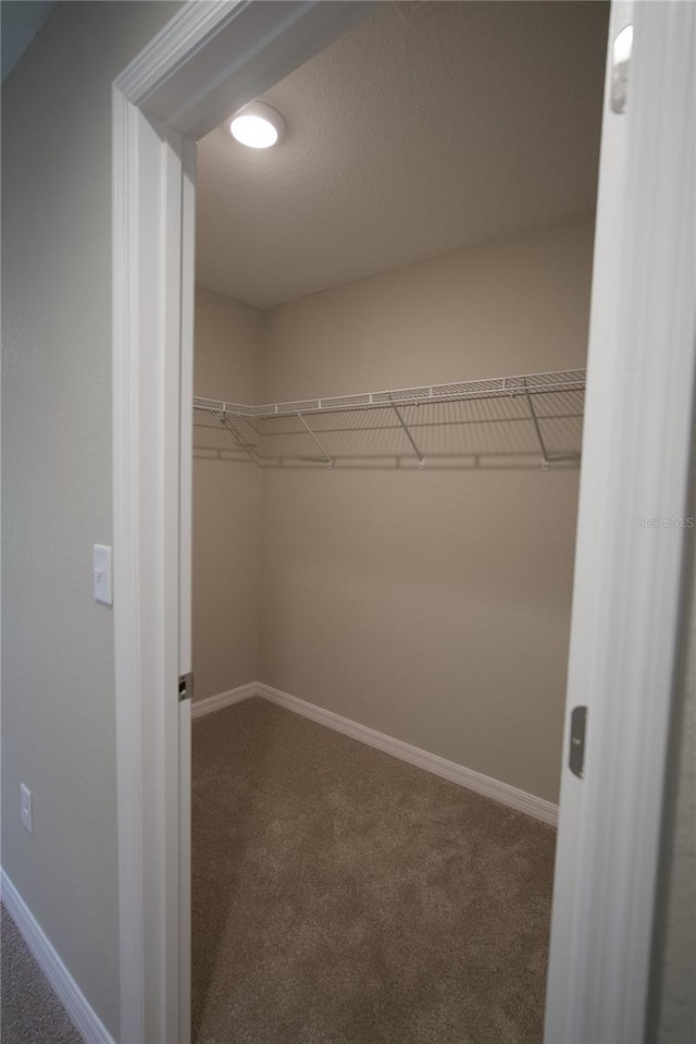 walk in closet featuring carpet flooring