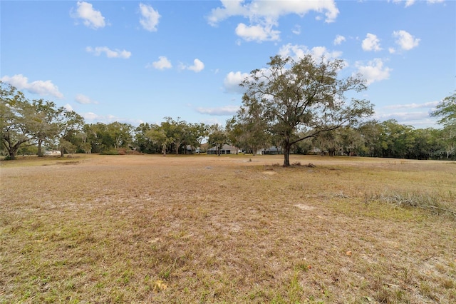 view of yard featuring a rural view