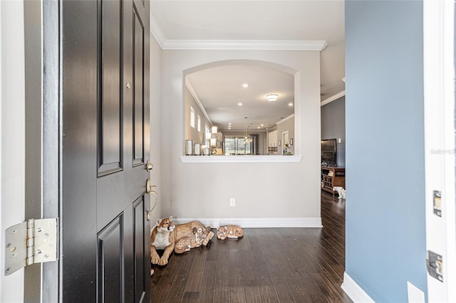 foyer with ornamental molding and dark hardwood / wood-style flooring