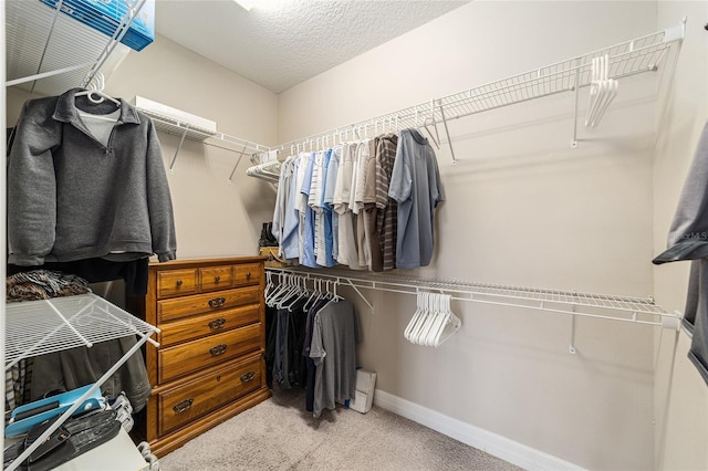 walk in closet featuring light colored carpet