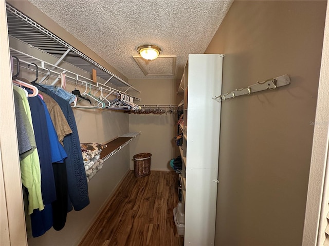 walk in closet with wood-type flooring