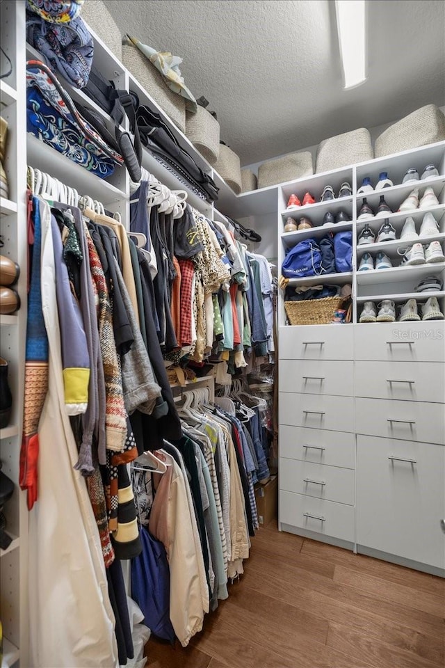 spacious closet with hardwood / wood-style floors