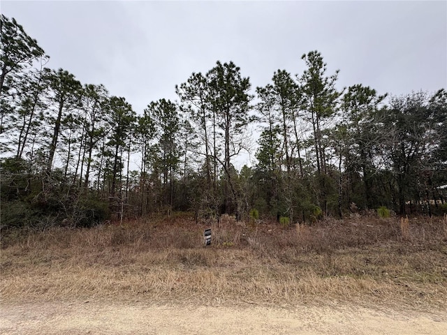 Listing photo 2 for TBD SW 91st Ln, Dunnellon FL 34432