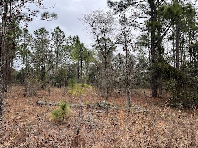 Listing photo 2 for LOT57 NW Skylark St, Dunnellon FL 34431