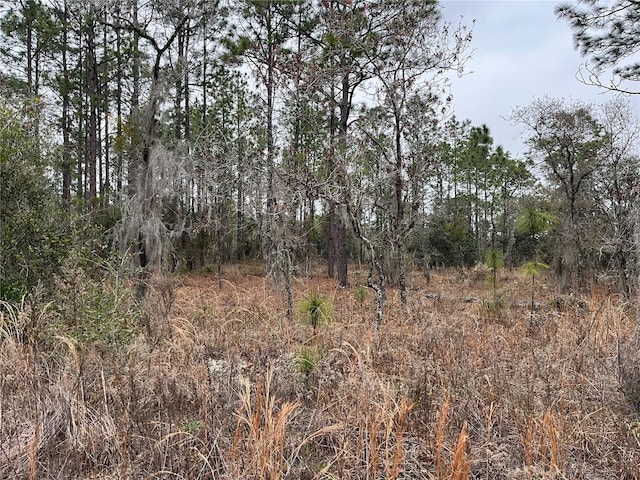 Listing photo 3 for LOT57 NW Skylark St, Dunnellon FL 34431