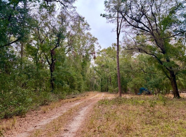 view of road