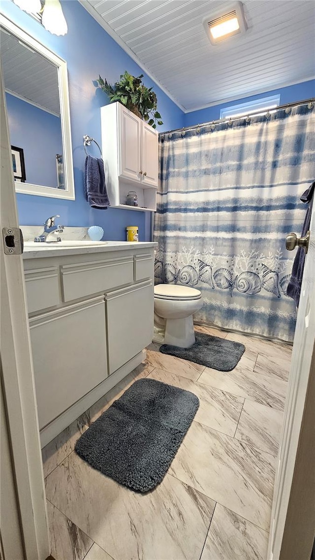 bathroom featuring vanity, walk in shower, and toilet