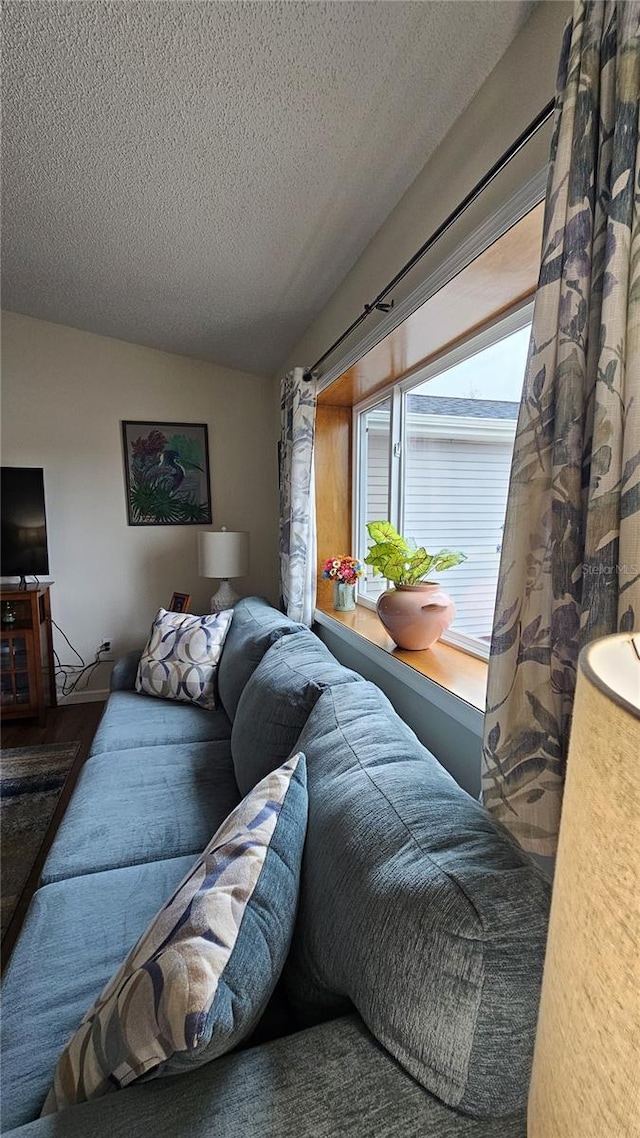 living room with a textured ceiling