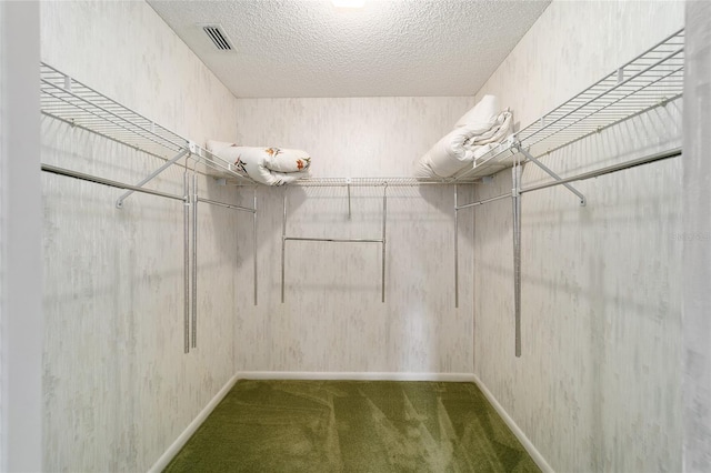 walk in closet with carpet