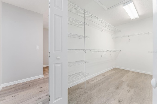 spacious closet with light wood-type flooring