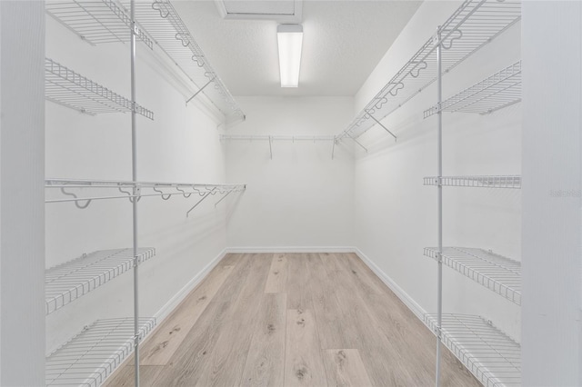 walk in closet featuring light hardwood / wood-style floors