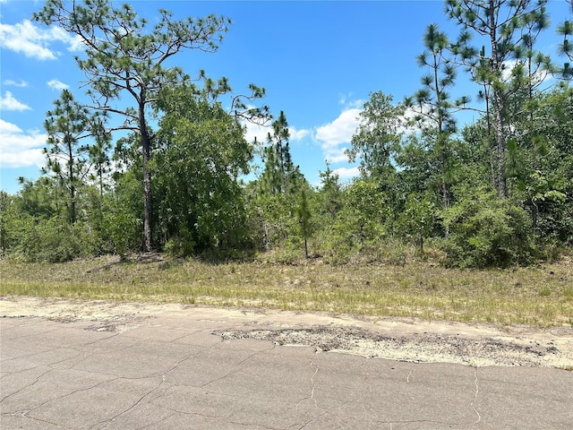 000 Cavalier Dr, Chipley FL, 32428 land for sale