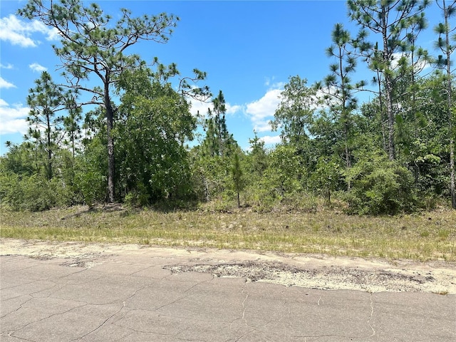 Listing photo 2 for 000 Cavalier Dr, Chipley FL 32428