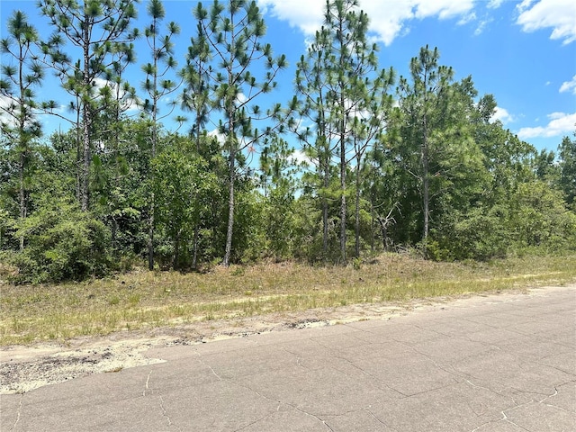 Listing photo 3 for 000 Cavalier Dr, Chipley FL 32428