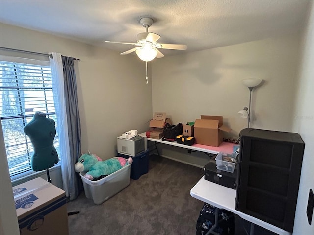 carpeted office with ceiling fan