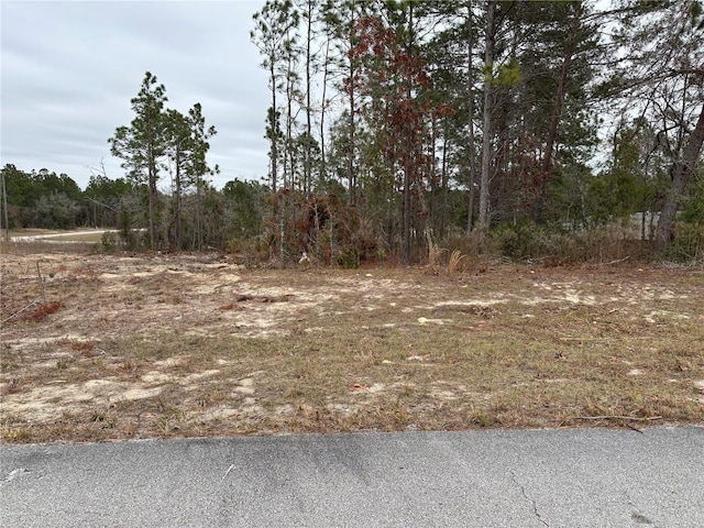 Listing photo 3 for 0 SW 85th Ter Unit 12, Ocala FL 34473