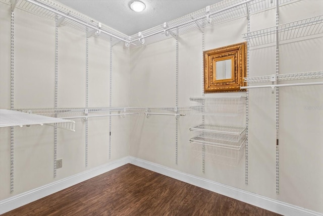 spacious closet with hardwood / wood-style floors