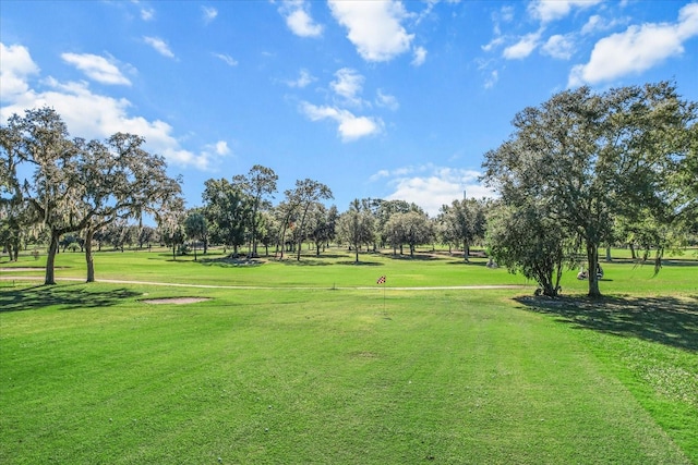 view of property's community with a yard