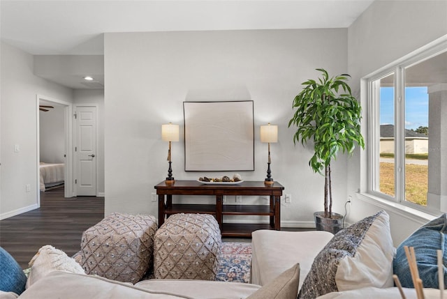 living room with dark hardwood / wood-style flooring