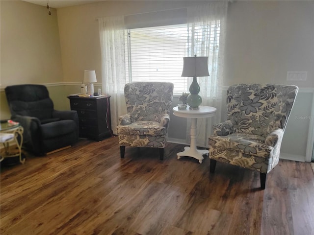 sitting room featuring dark wood-type flooring