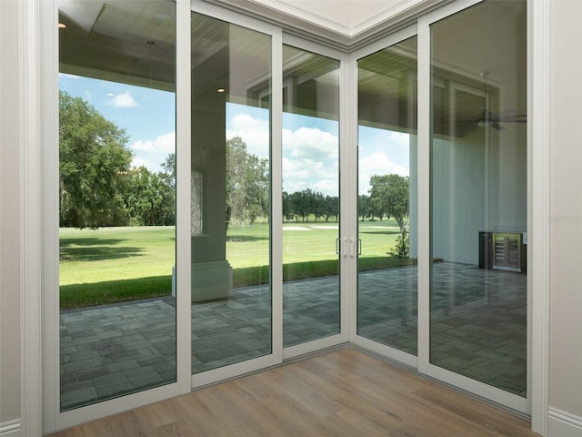 doorway featuring hardwood / wood-style flooring