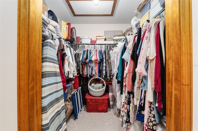 walk in closet with light colored carpet