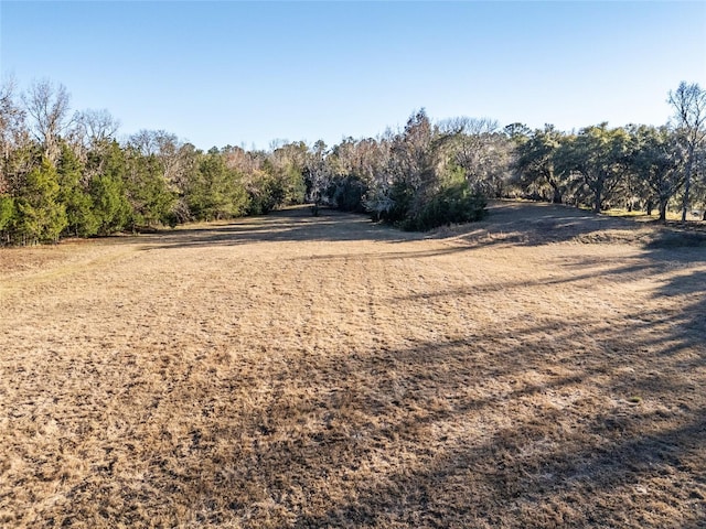 view of yard featuring a rural view