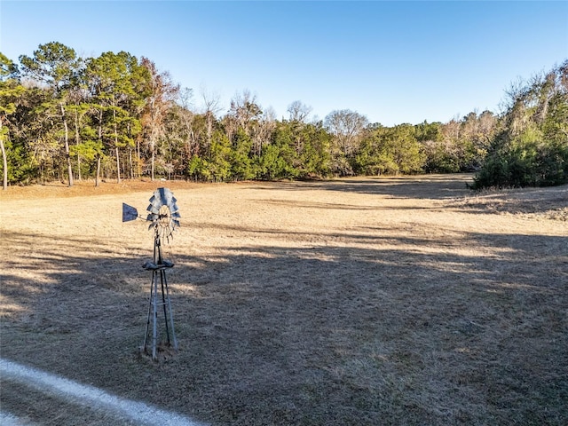 view of surrounding community