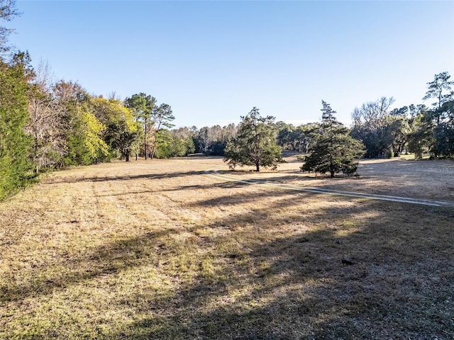 view of yard with a rural view