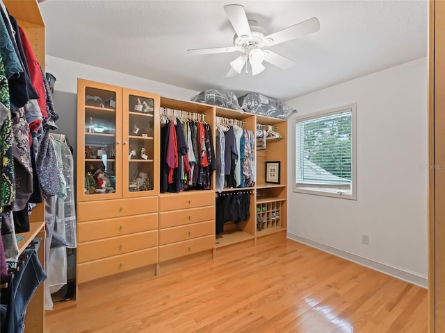 walk in closet with hardwood / wood-style floors and ceiling fan