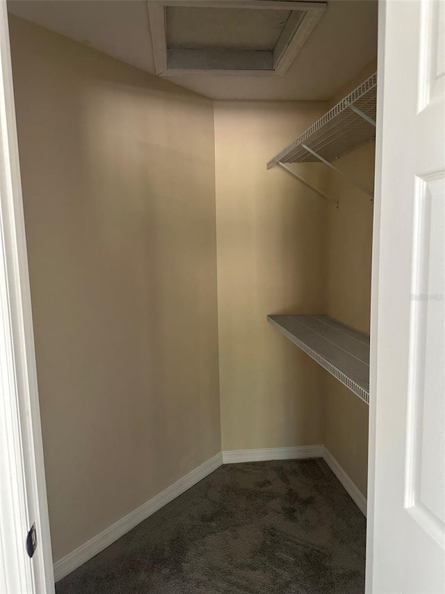 walk in closet with carpet