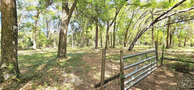 7651 SE 36th Ave, Ocala, FL 34480 - view of yard featuring fence