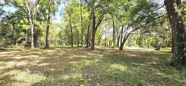 7651 SE 36th Ave, Ocala, FL 34480 - view of nature