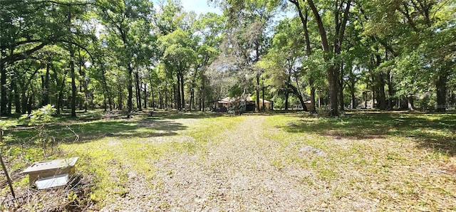 7651 SE 36th Ave, Ocala, FL 34480 - exterior space with driveway