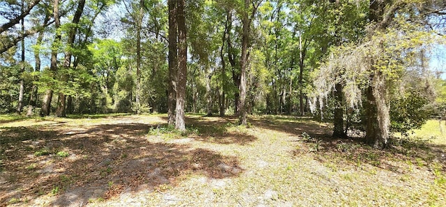 7651 SE 36th Ave, Ocala, FL 34480 - view of landscape with a wooded view