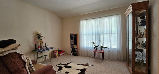 7651 SE 36th Ave, Ocala, FL 34480 - living area featuring carpet flooring and lofted ceiling