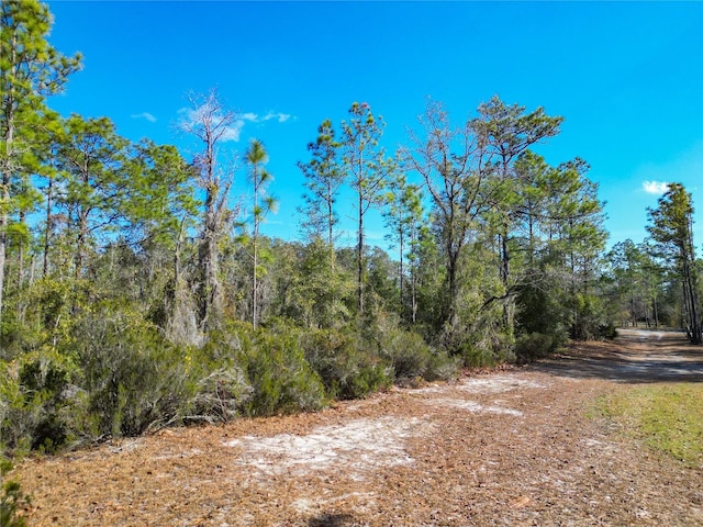 Listing photo 3 for TBD NE 58th St, Bronson FL 32621