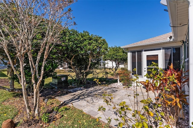 view of yard with a patio area