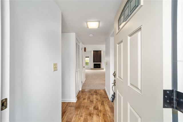 hall with light hardwood / wood-style flooring