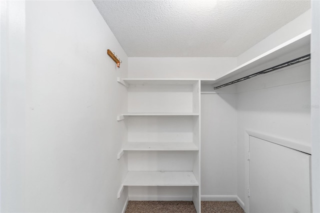 walk in closet featuring carpet