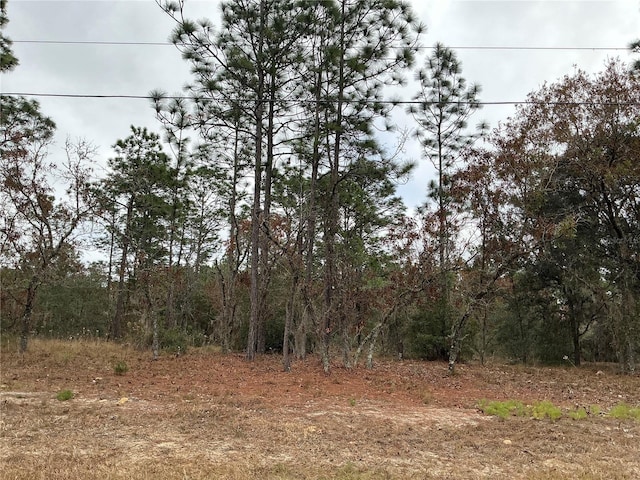 00 SW 207th Ct, Dunnellon FL, 34431 land for sale